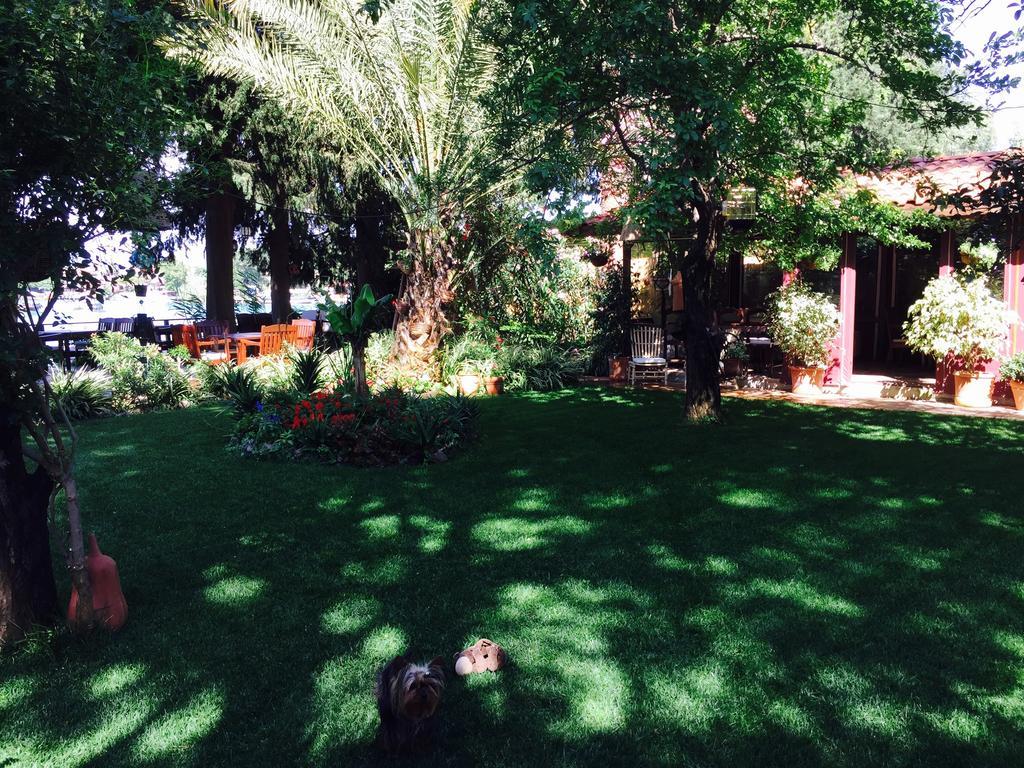 Hotel Happy Caretta Dalyan Eksteriør bilde