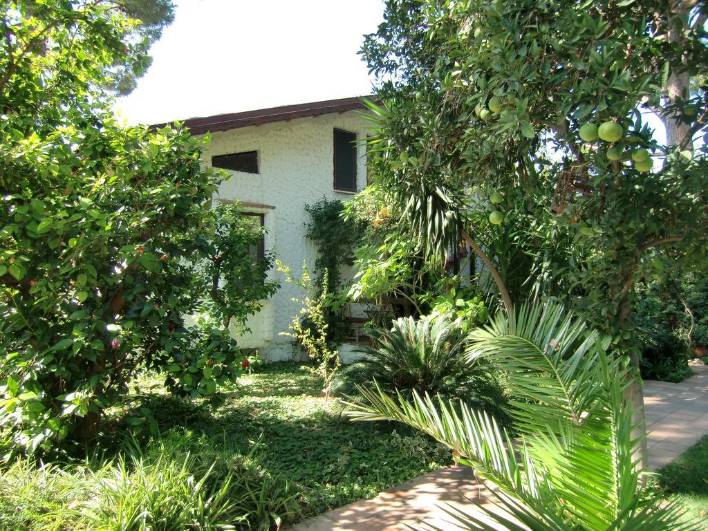 Hotel Happy Caretta Dalyan Eksteriør bilde