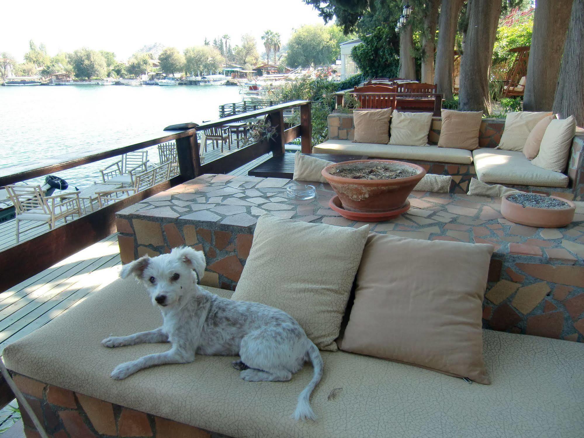 Hotel Happy Caretta Dalyan Eksteriør bilde